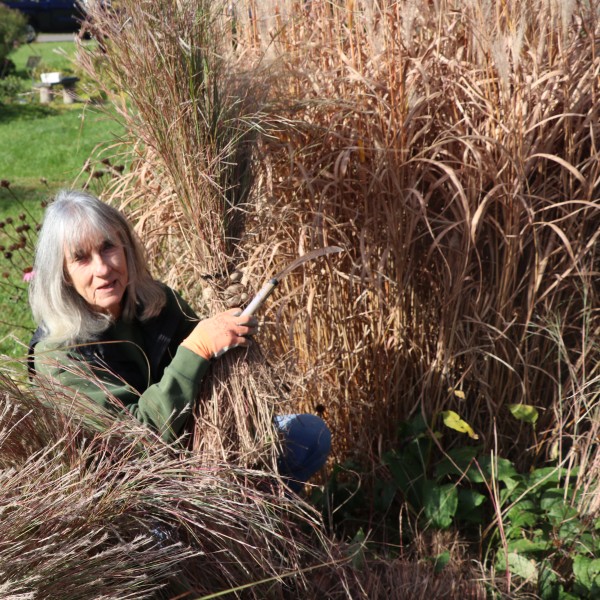 A Master Gardener sits amongst tall grasses during a program at the Demonstration Garden in Fall 2025.