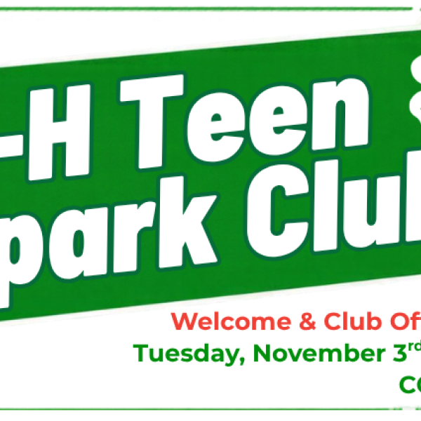 Teen Spark: Welcome & Team Building