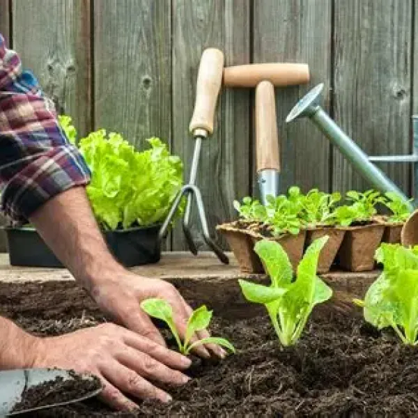 Fast Track to Farming