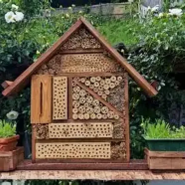 Pollinator Preparation Workshop! 