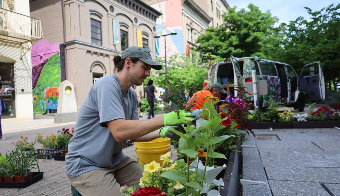 A person kneels at the side of a planter box, tending to a variety of flowers.