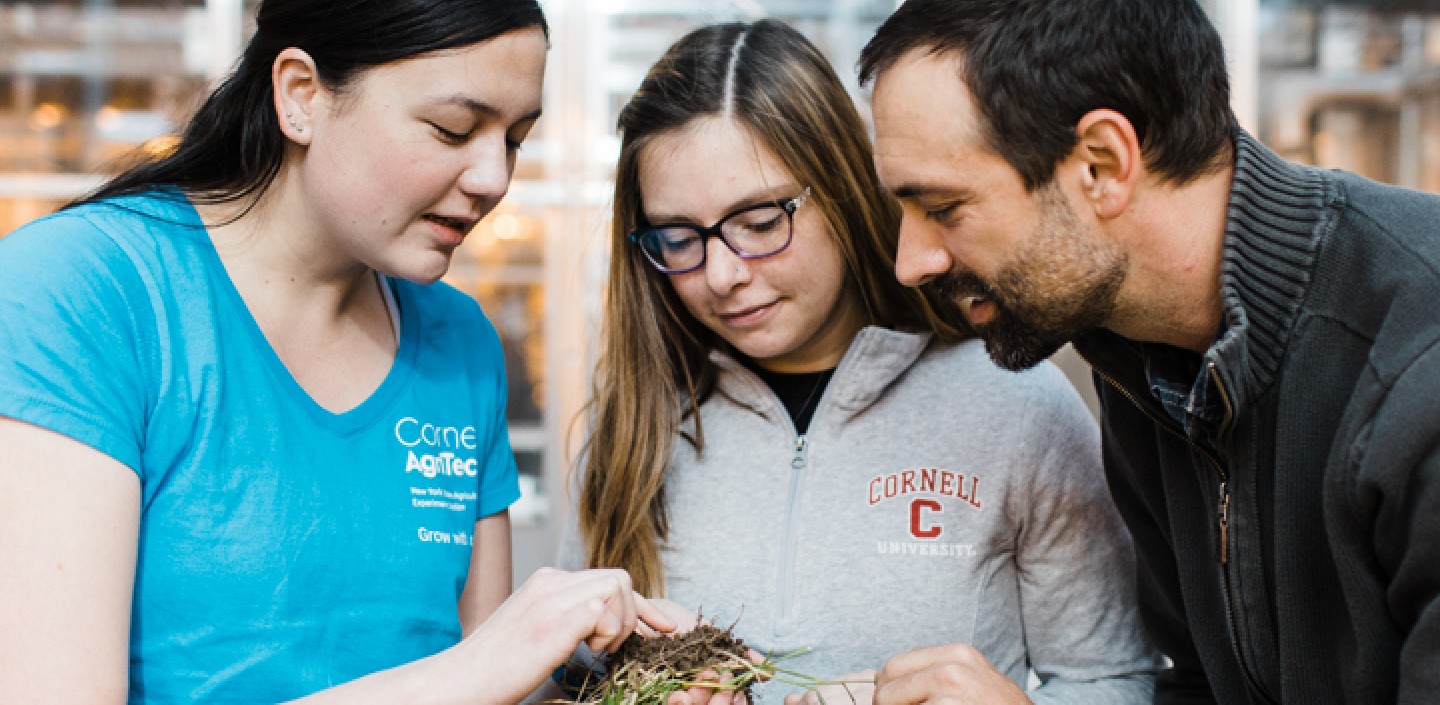 people discussing plants