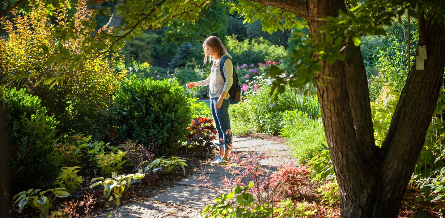 Girl in garden examining a plant 