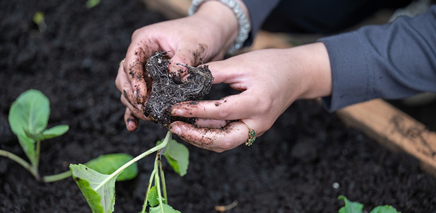 A person planting a flower garden.