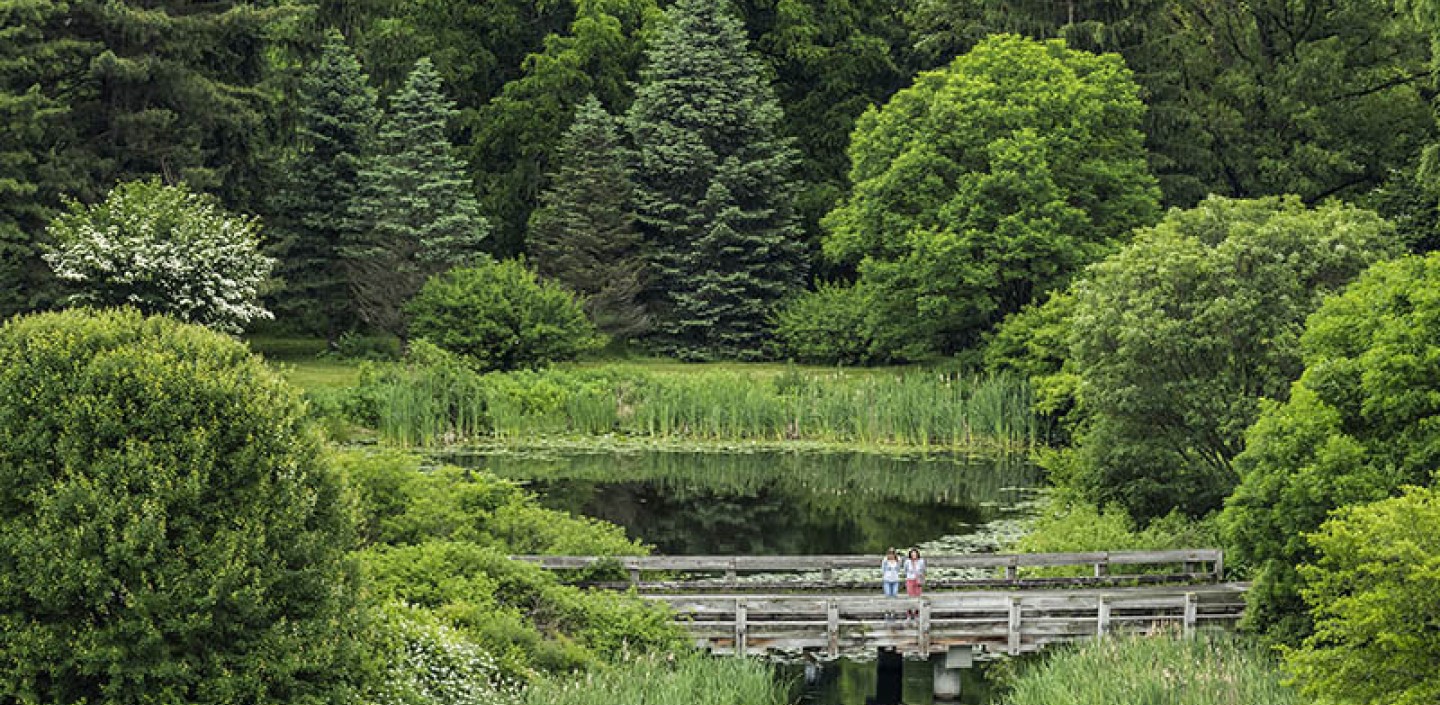 LR_arboretum_couple