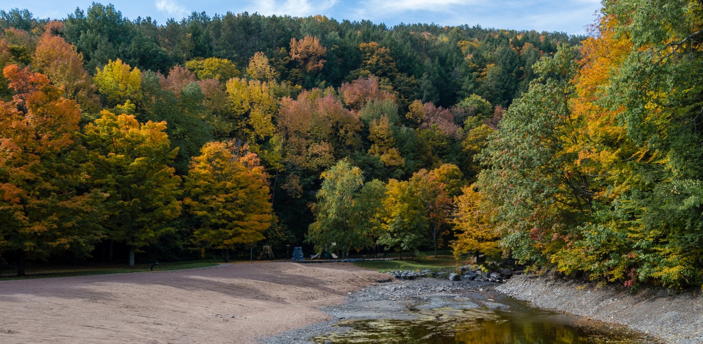  A photo of the beach at Whetstone Gulf in the fall. The sandy beach is on the left, and a calm small body of water is on the right. A forest of trees with vibrant red, orange, and yellow autumn leaves rises up behind the beach.