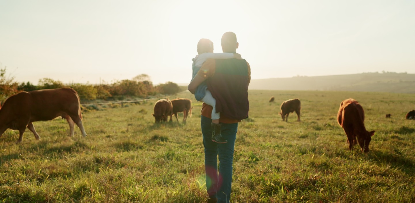 A person holds a child and stands in a field with cows grazing nearby