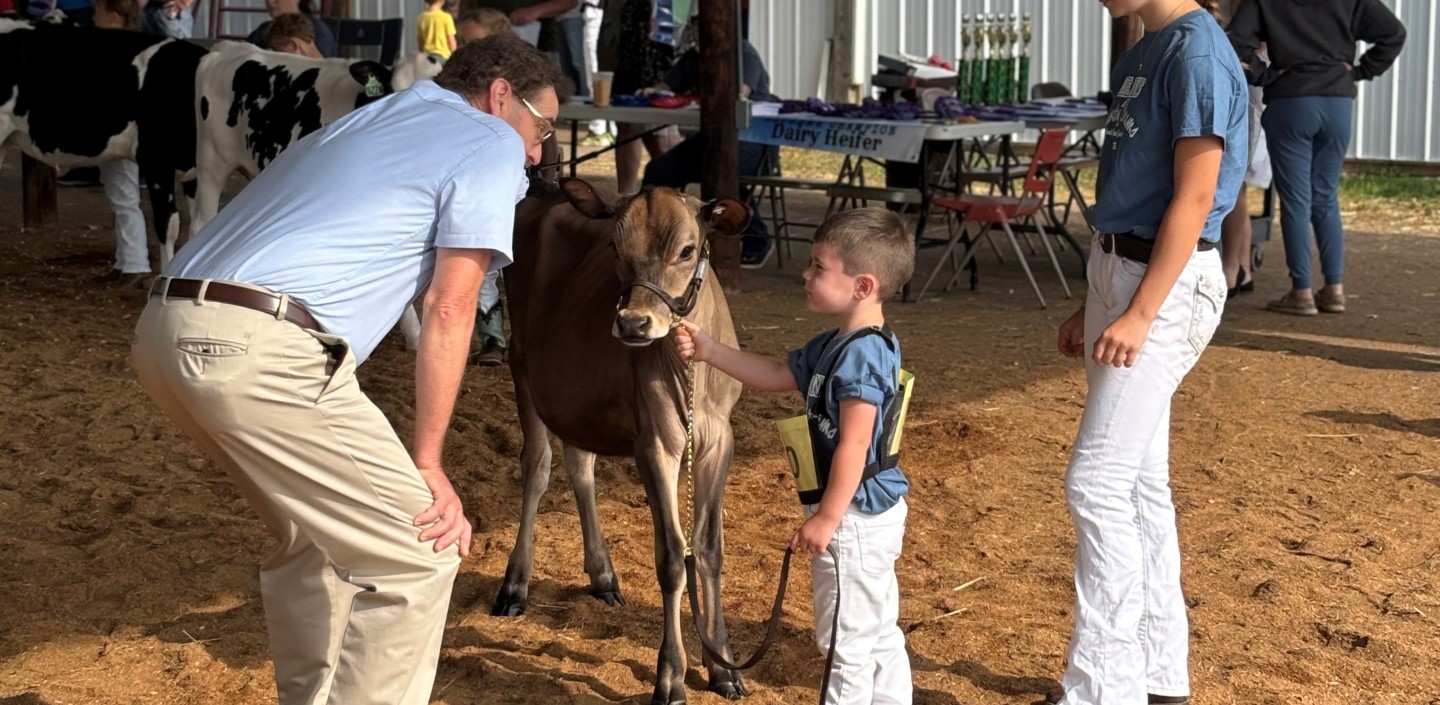 2025 4H Cortland County Fair Participant Cow