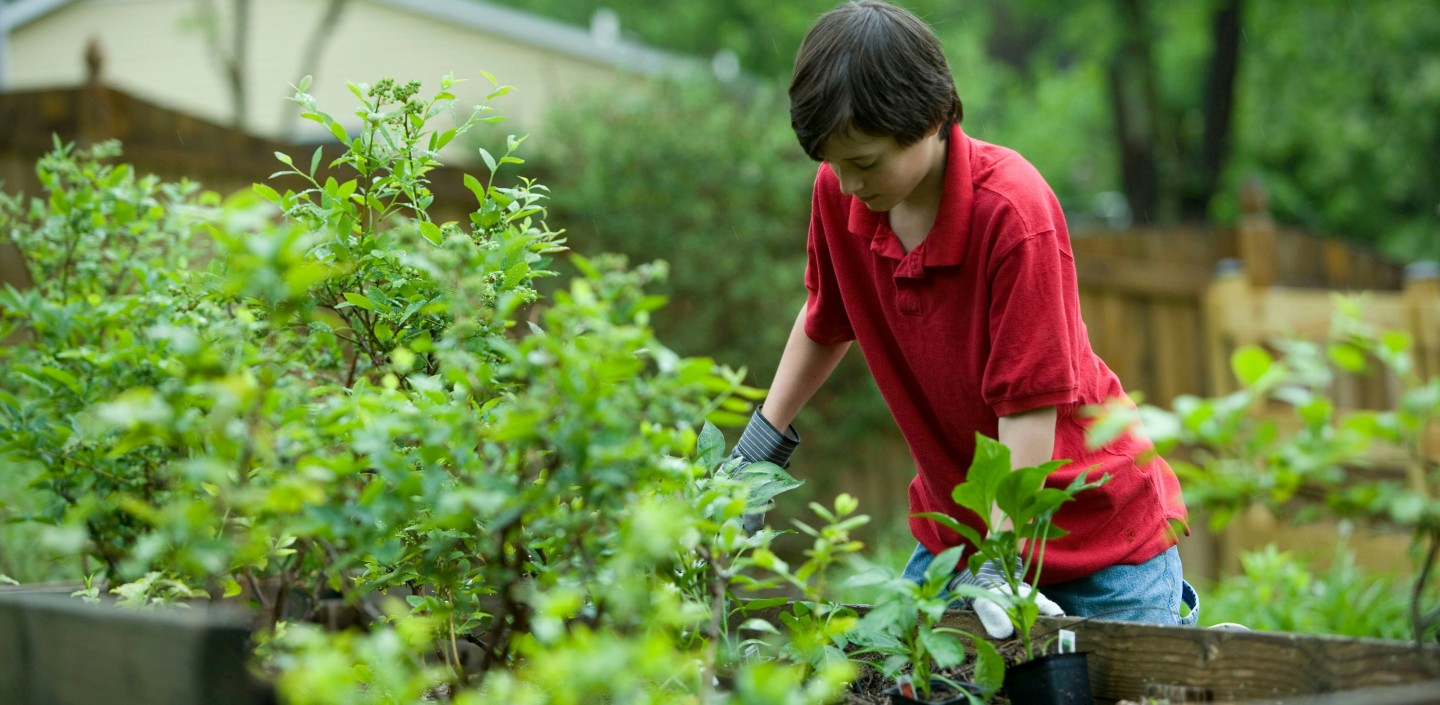 Person gardening. 