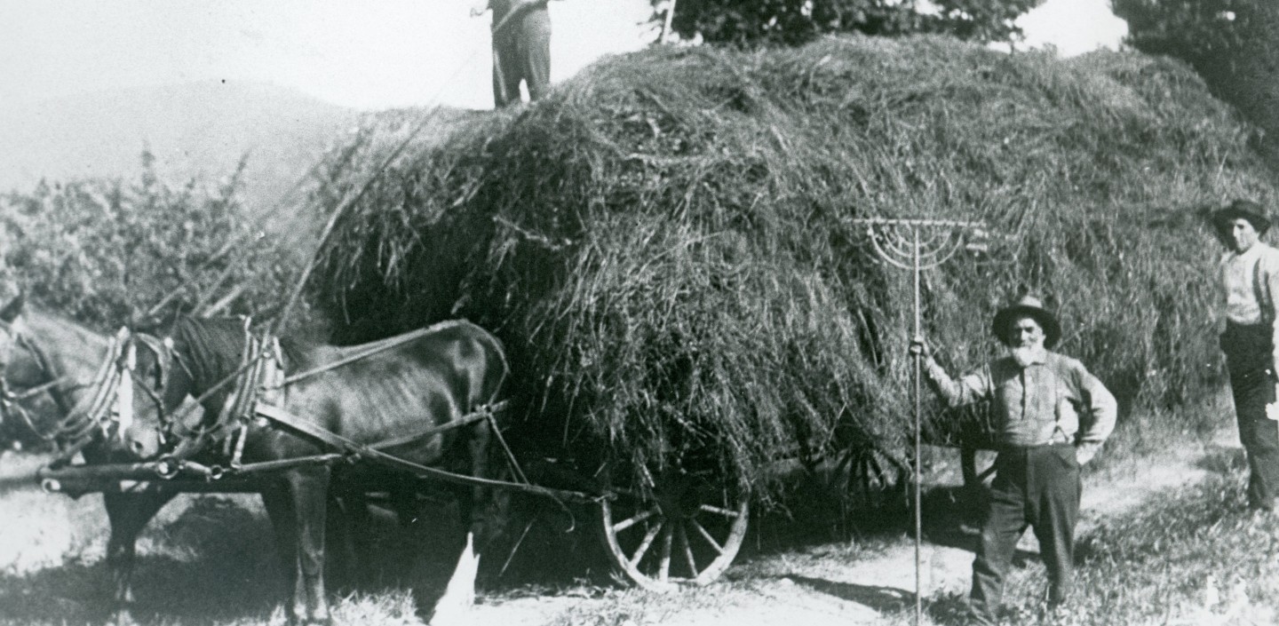 A vintage photo of a man next to a horse-drawn cart of hay