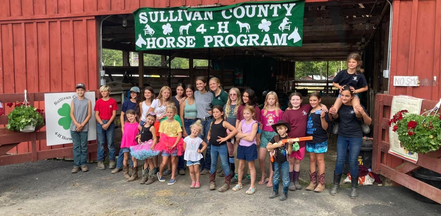 Sullivan County 4-H Program members