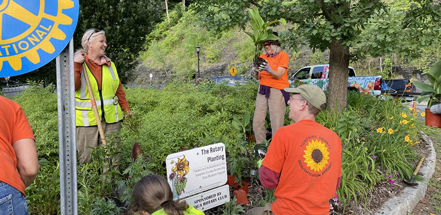 Upside down photo of volunteers working in a garden