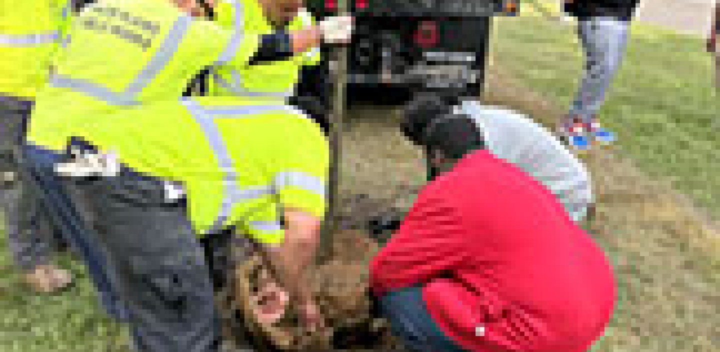 CCE Paraprofessional Program