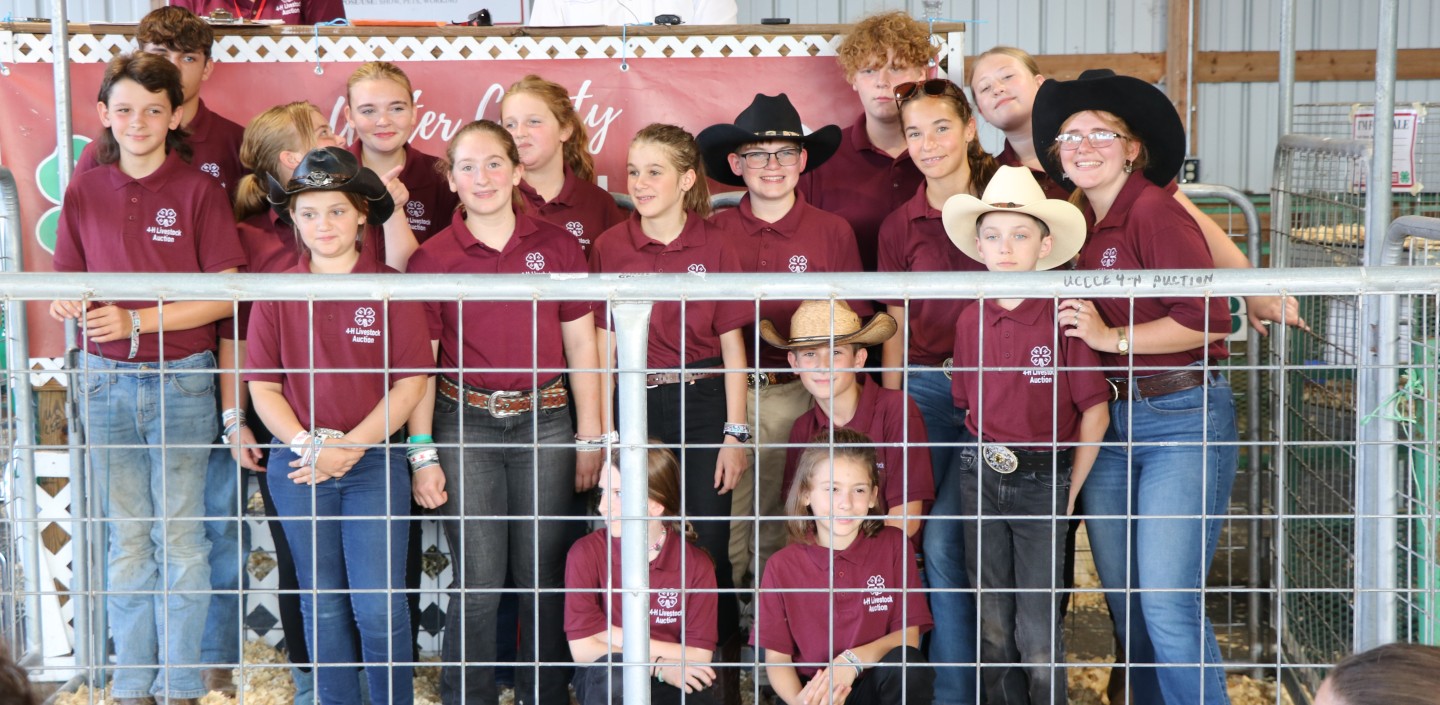 A large group of 4-H'ers at the Ulster County Fair Livestock Auction posing for a photo in the auction pen.