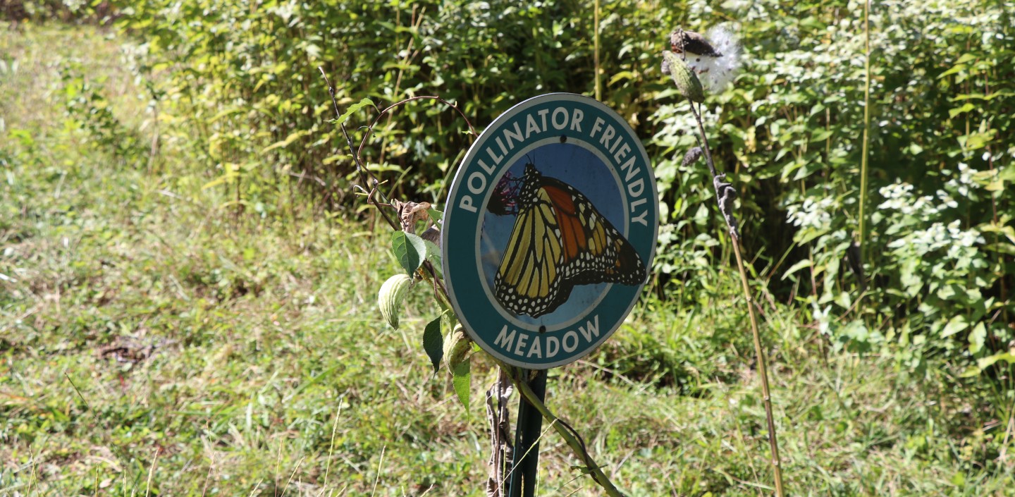 A sign in the Master Gardener Pollinator Meadow with a photo of a butterfly. The sign reads "Pollinator Friendly Meadow"
