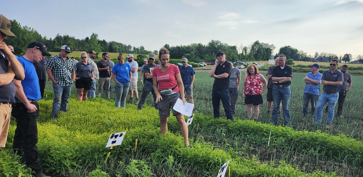 Onion growers and industry reps gather around Christy Hoepting to look at her on-farm field trial. She has a headset on and is holding some papers while she steps between rows of onions.