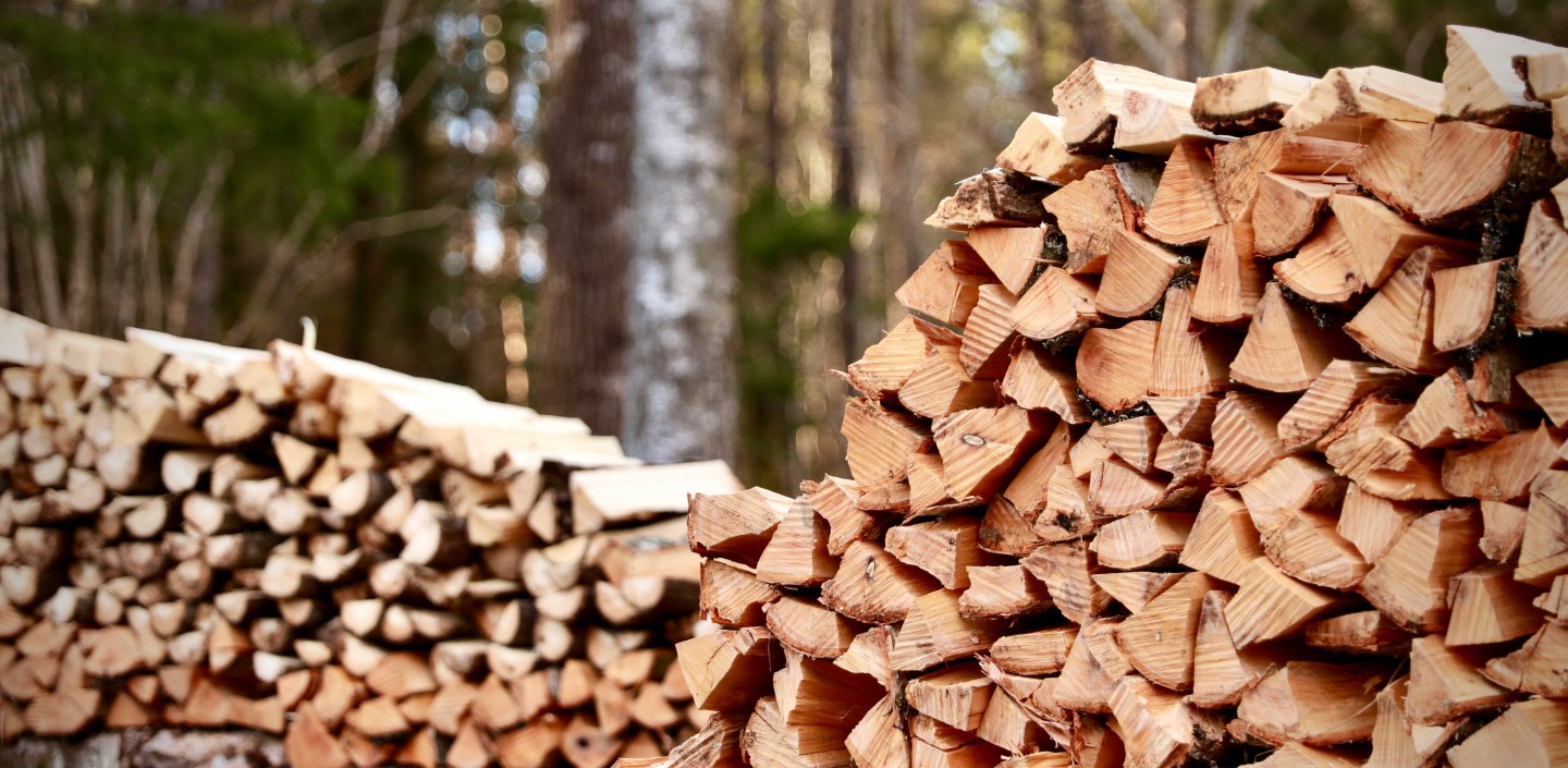 Wood Pile