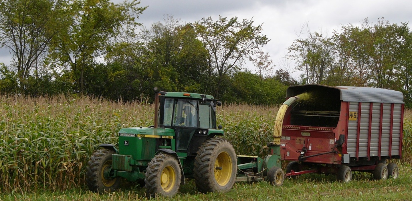 Tractor harvesting corn