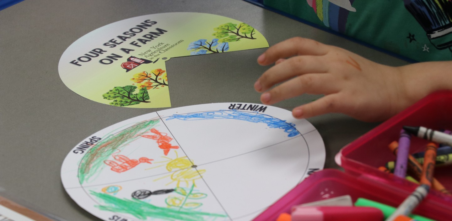A young student draws the four seasons on a farm on a circular piece of paper. Spring and Summer are complete with drawings of animals and plants, Fall and Winter are in progress.