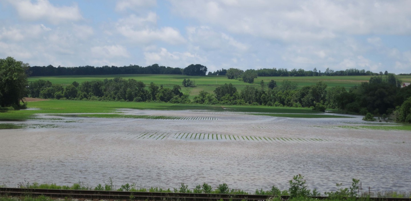 A distant look at a field filled with rain water. Young crop rows are barely visible.