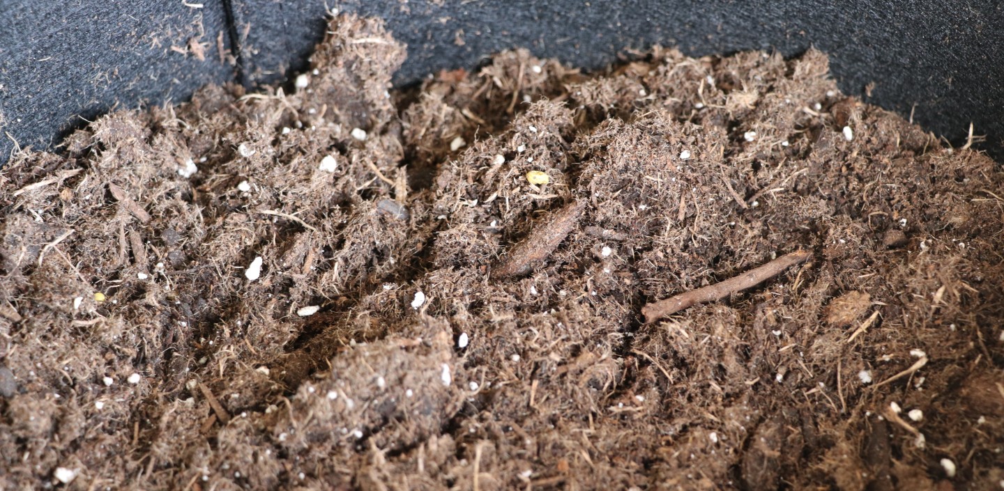 Dirt in a black grow bag.