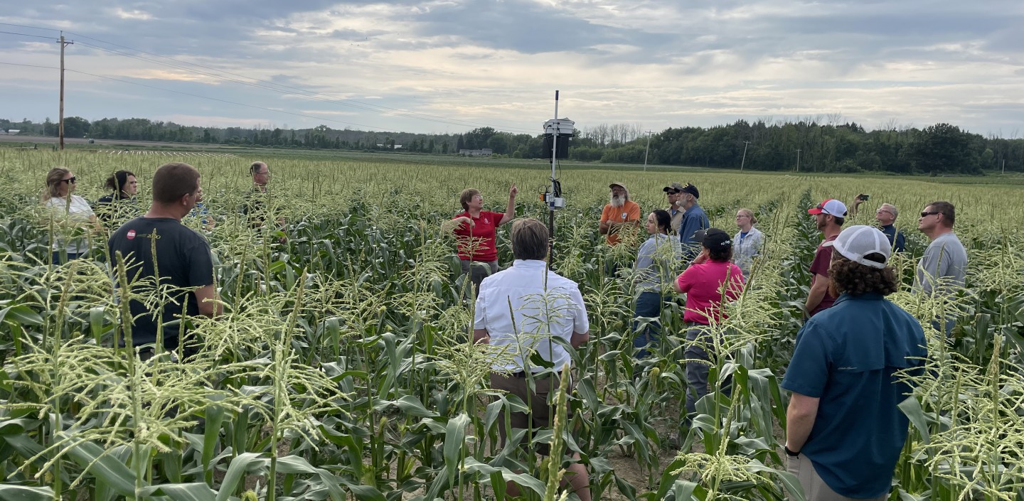 A group of people in a large sweet corn field. They are all looking at a laser scarecrow with the woman in a red polo shirt below it motioning up to the unit.