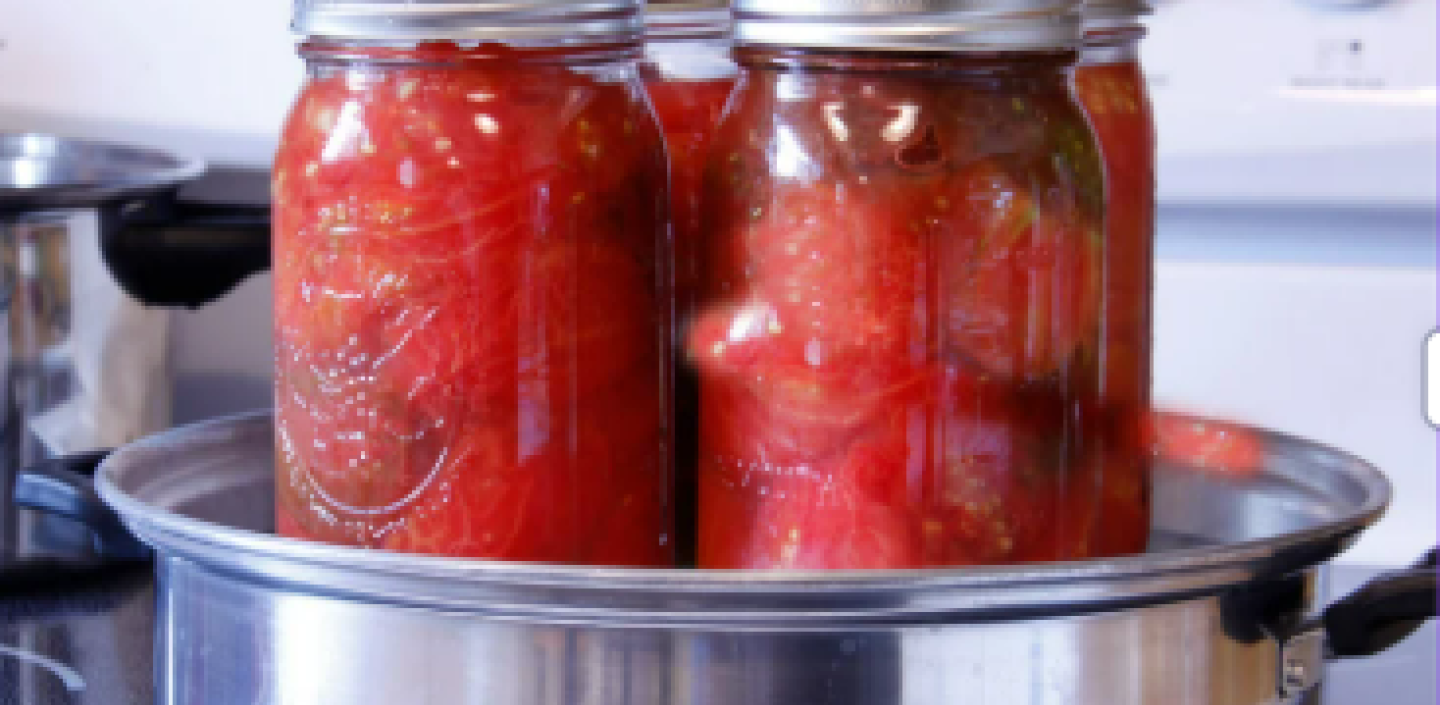 canning tomatoes