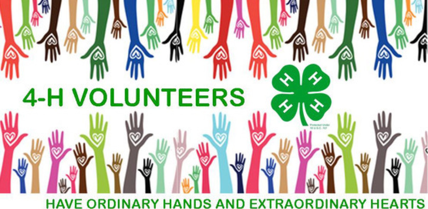 graphic to showcase 4-H volunteers