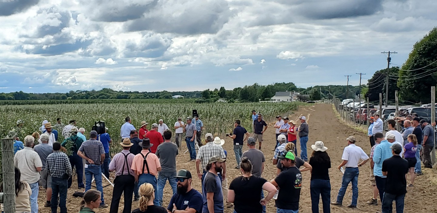 People gathered in young orchard listening to grower