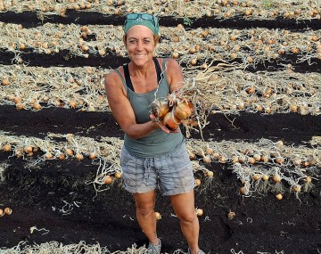 A woman standing between rows of drying onions in dark, muck soils.