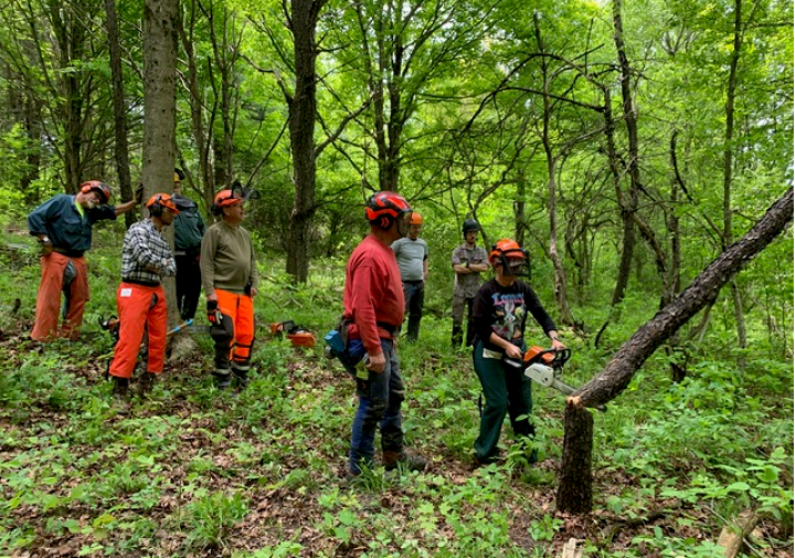 CCE CATT GAME OF LOGGING 2025 