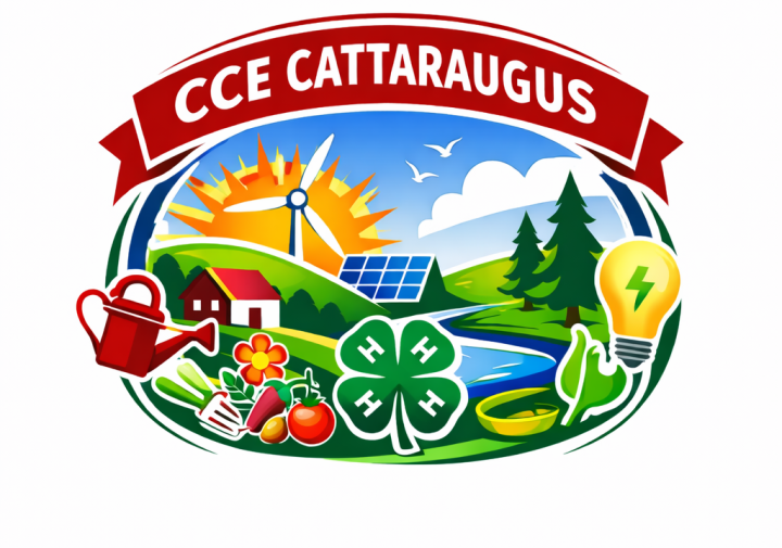 CCE-catt-logo