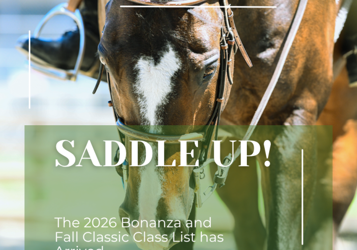 CCE-Catt-4-H open horse shows