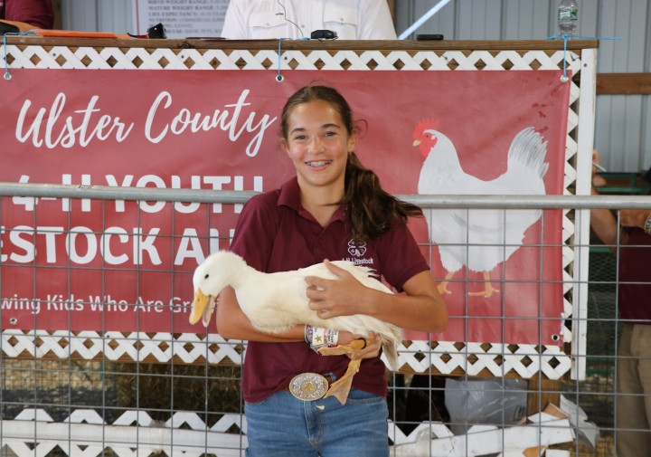 A 4-H'er holding a white duck at the Ulster County 4-H Livestock Auction in 2025.