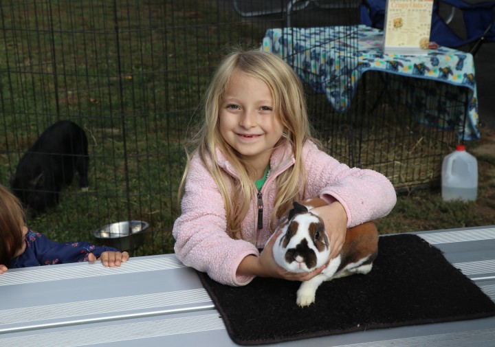 A young 4-H youth with her small black and white rabbit on a table in front of her.