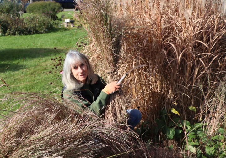 A Master Gardener sits amongst tall grasses during a program at the Demonstration Garden in Fall 2025.