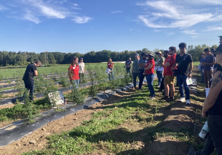 A group of people standing between rows of Cannabis sativa plants growing outdoors. A person in a red shirt is speaker to the group.