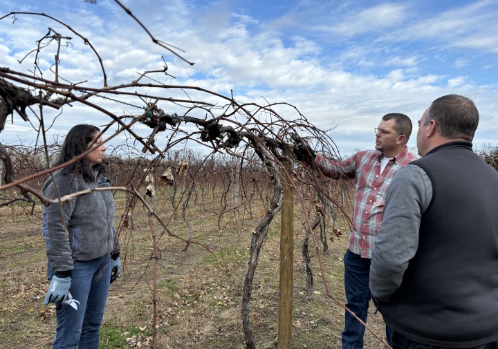 Dan Sprague demonstrating pruning technique