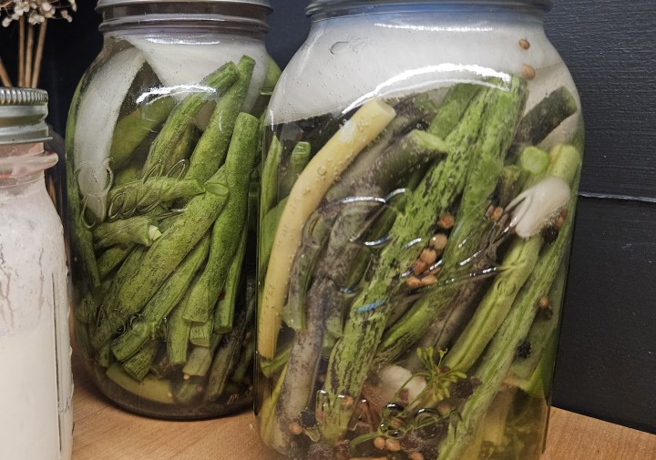 2 Jars of Fermenting Beans