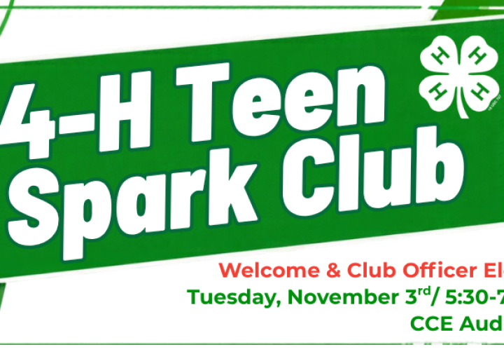 Teen Spark: Welcome & Team Building