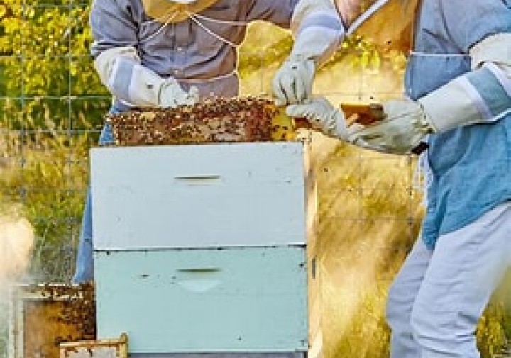 Monthly Beekeeper Forum