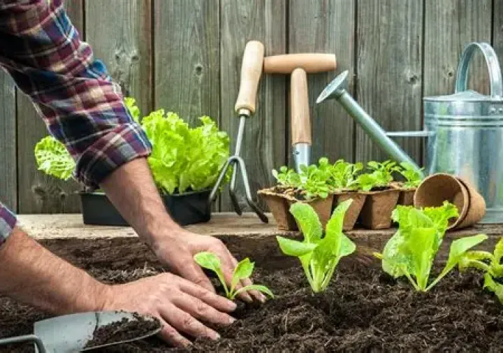 Fast Track to Farming
