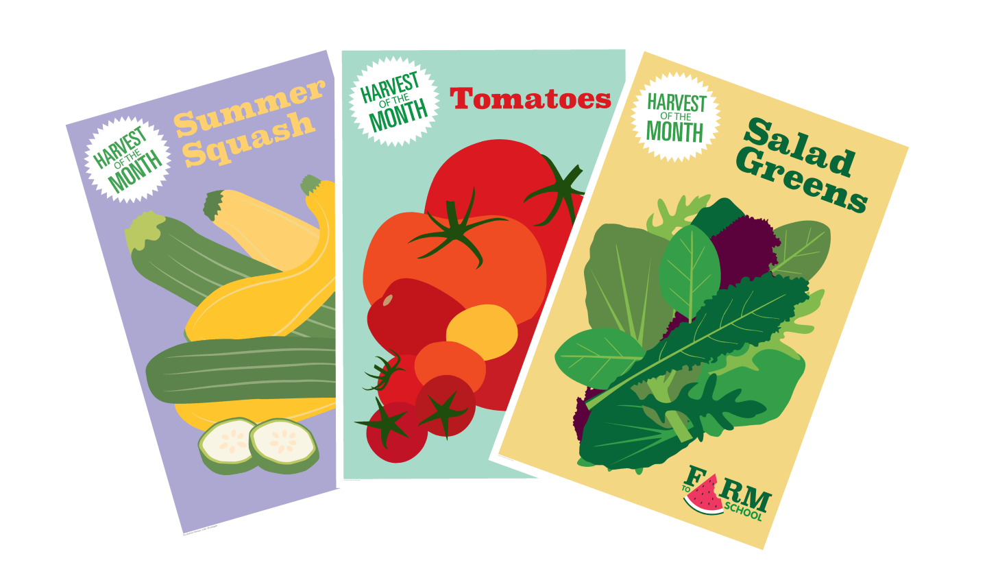 Harvest of the Month Poster screenshot showing squash, tomatoes, and salad greens