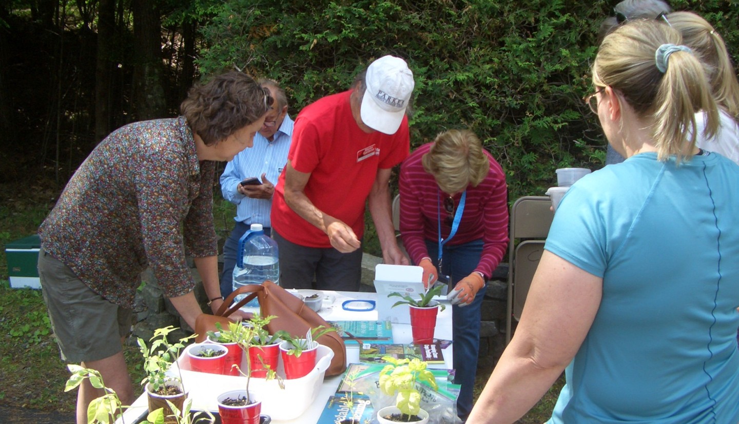 Master Gardener Volunteers testing soil