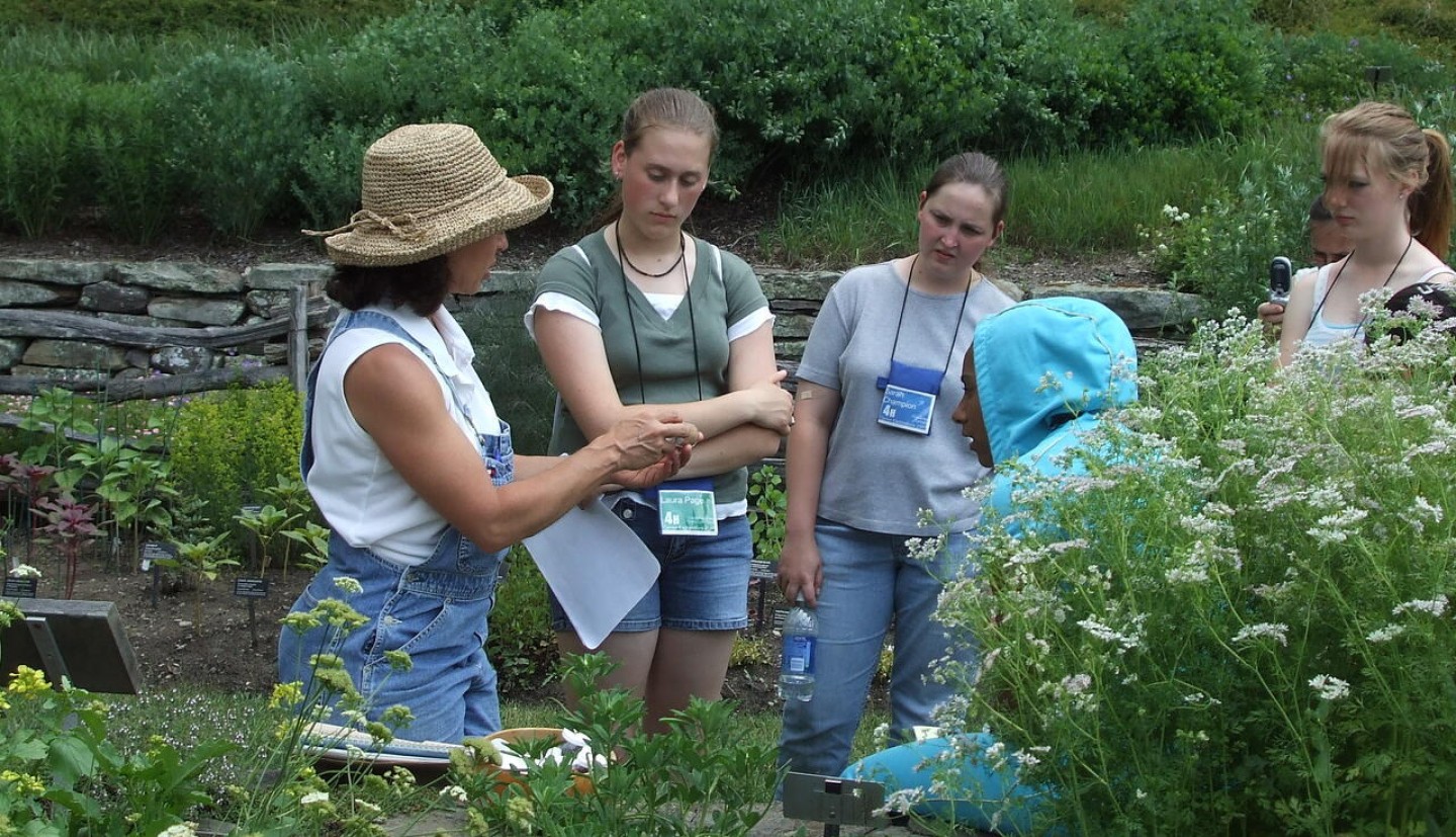 Several people stand around an herb garden