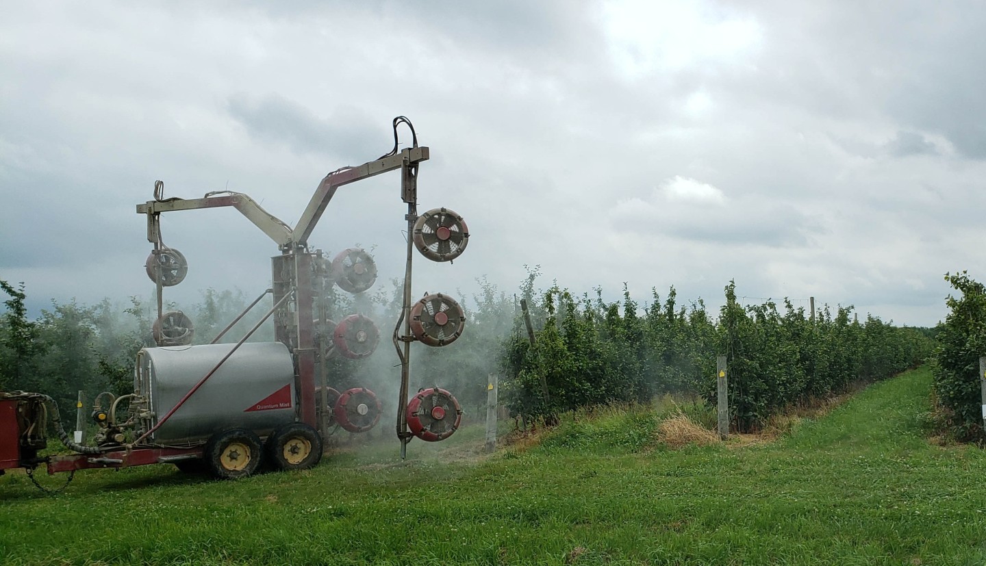 Sprayer applying protectant to multiple rows in apple orchard.