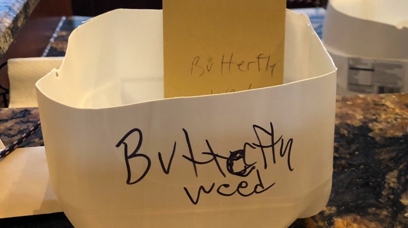 Winterizing and labeling seeds. 