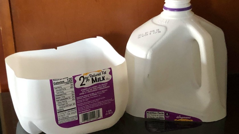 Gallon milk jug, cut in half to winterize seeds.