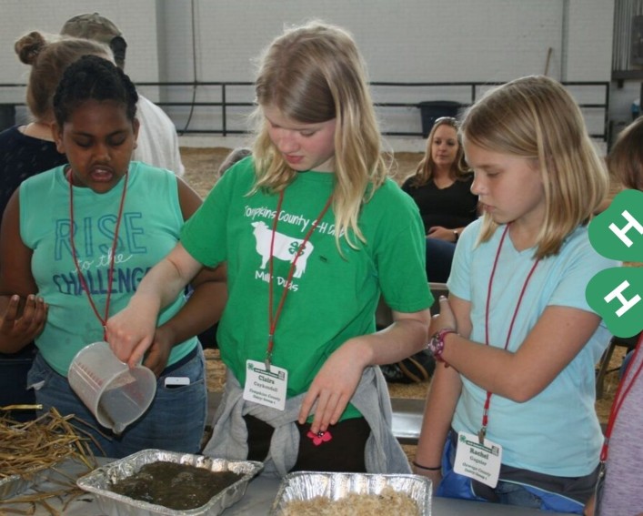 youth with animal feed activity