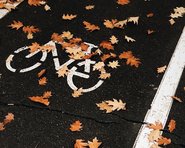A bike icon painted on pavement representing a bike lane, partially covered in fallen leaves.